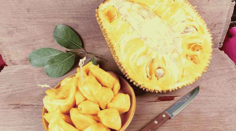 Masada Jackfruit