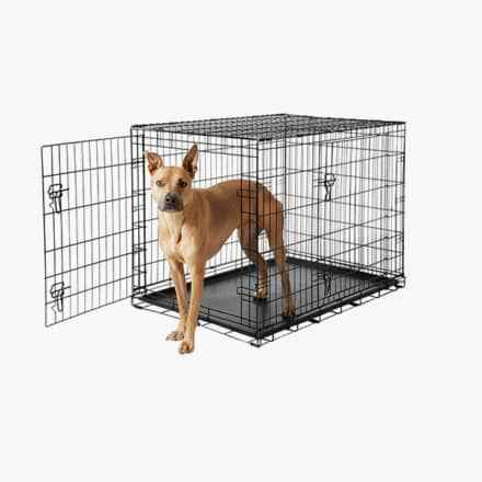 Frisco Katlama ve Köpek Taşıma Sandığı