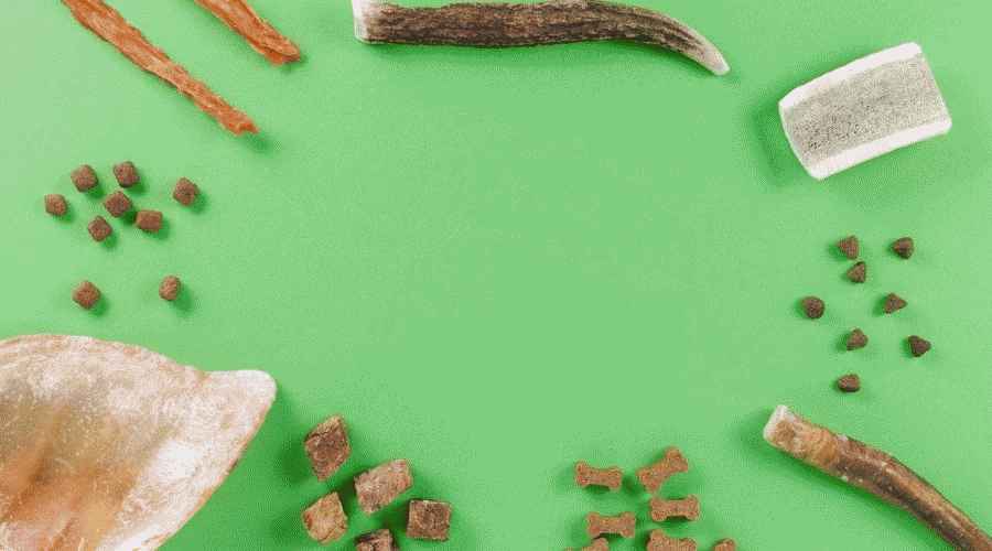 Köpekler İçin Domuz Kulakları: Yavrularınız İçin Güvenli mi yoksa Tehlikeli mi?