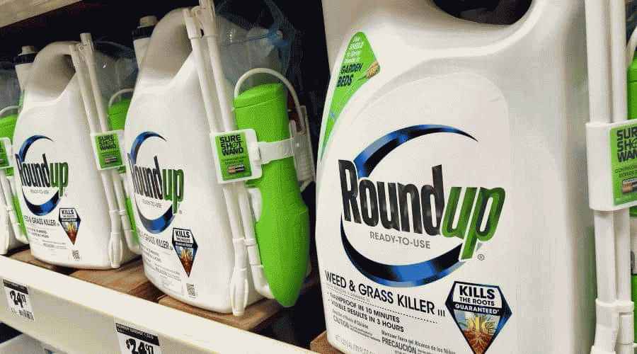 Roundup Köpekler İçin Güvenli mi? Bir Veterinerin Yabani Ot Öldürücü Konusunda Uzman Tavsiyesi