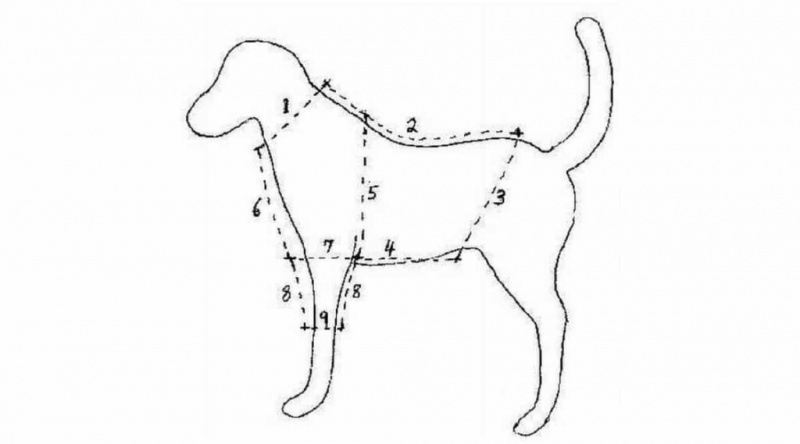 Ücretsiz Kendin Yap Köpek Kıyafet Modelleri: Gömlekler, Yağmurluklar ve Daha Fazlası