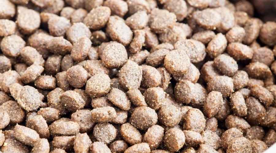 Diamond Naturals ve Yabani Tadı: Köpek Maması Karşılaştırması