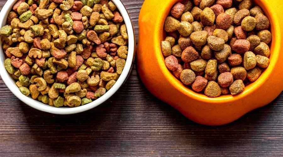 Merrick vs Blue Buffalo: Köpek Maması Marka Karşılaştırması