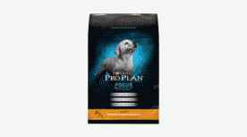 Purina Pro vs Bilim Diyeti: Hangi Köpek Maması Daha İyi?