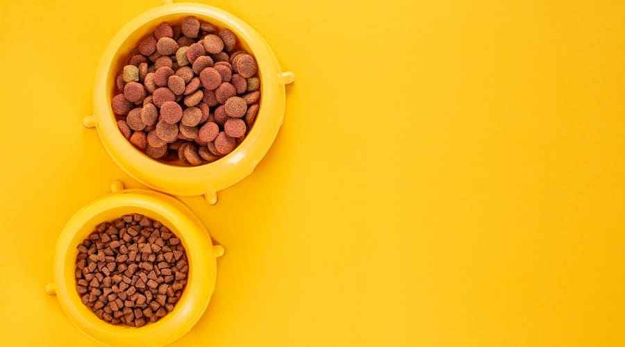 Acana mı Orijen mi: Hangi Köpek Maması Markası Daha İyi?
