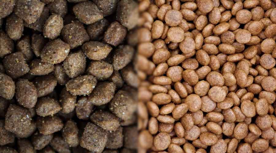 Nutro ve Vahşi Tadı: Hangi Köpek Maması Daha İyi?