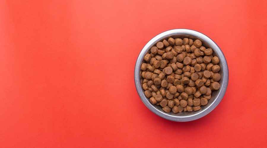 American Journey vs. Taste of the Wild: Hangi Köpek Maması Daha İyi?