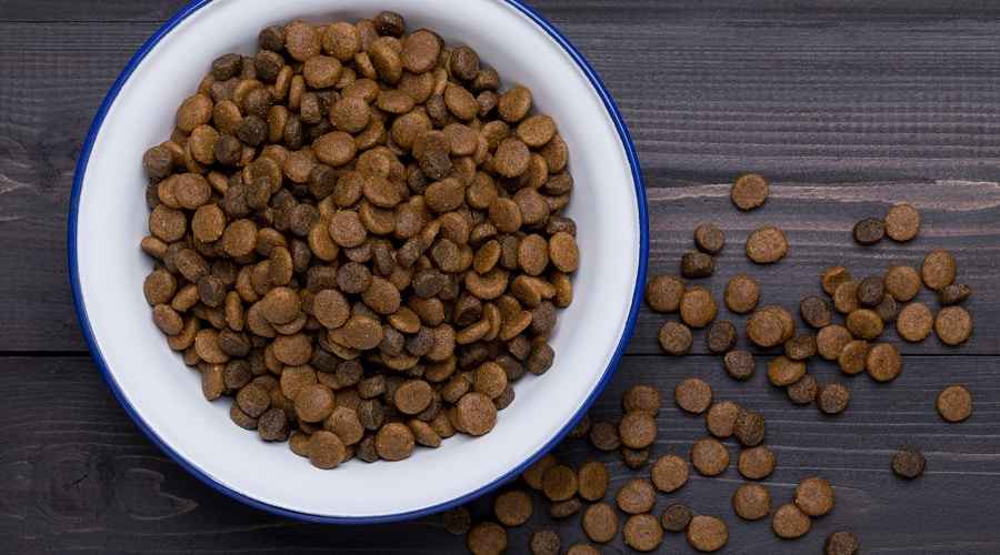 Purina Pro vs American Journey: Köpekler için Hangi Yiyecek Daha İyi?