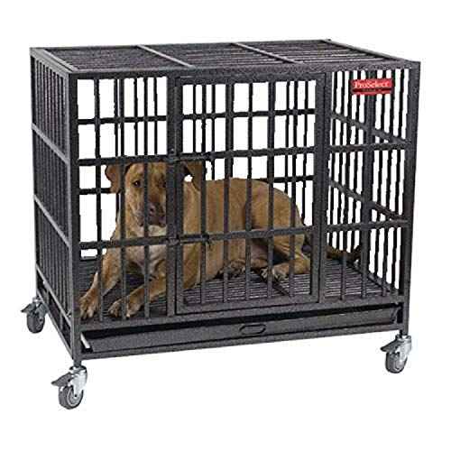 Pro Select Empire Cage - BÜYÜK