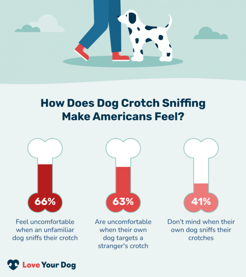 Infografika: Jak se cítí čichání psího rozkroku v Američanech