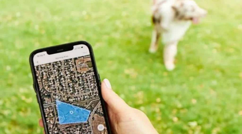 Bahçede koşan köpeğin olduğu Halo Yaka uygulaması